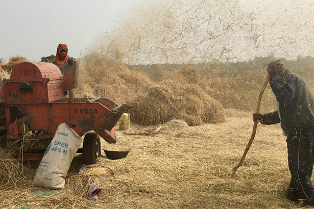farmers